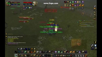 Paladin Vs Shaman