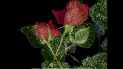 Честит 8 Март 