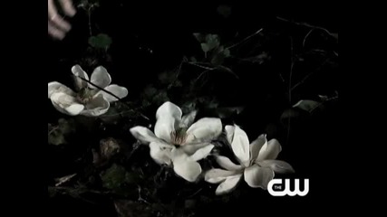 The Vampire Diaries Explosive season 2 promo
