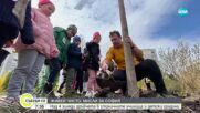 „Живей чисто, мисли за София”: Над 4000 дръвчета в столични училища и детски градини