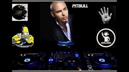 Rosi - Pitbull Mix 1