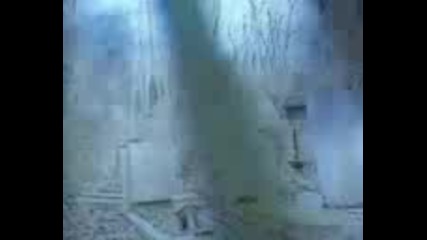 Skids - Circus Games