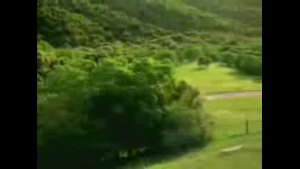 Реклама.3gp