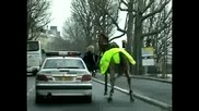 Конят без ездач