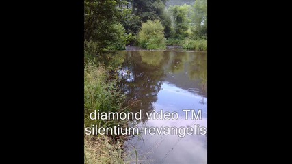 Silentium-revangelis
