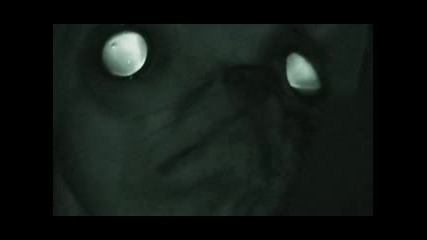 Rubber Johnny (aphex Twin Musicvideo)