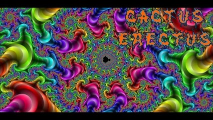 Cactus Erectus ft. Jyd - Dmt Tripology