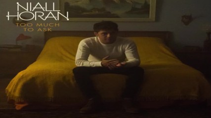 Niall Horan - Too Much to Ask ( Audio )