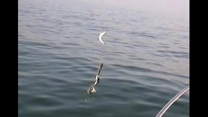 Риболов на Тасос