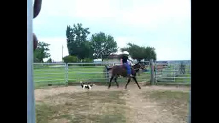 Youtube - Mule Ride.avi