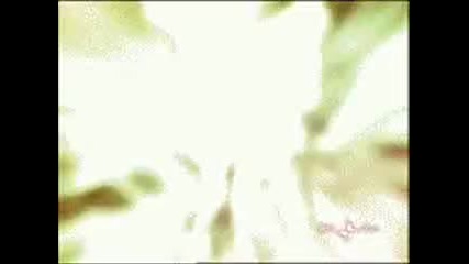 Winx - Charmix, Lovix, Believix, Sofix; 