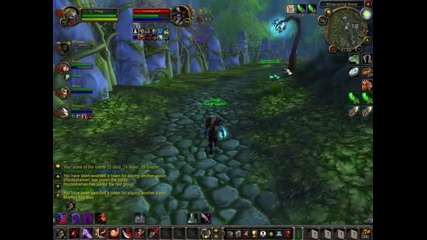 World of Warcraft # Warsong Gulch
