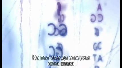 10/10 Eволюират ли все още хората (2011) Hd
