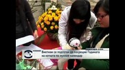 Виетнам се подготвя да посрещне Годината на котката по лунния календар