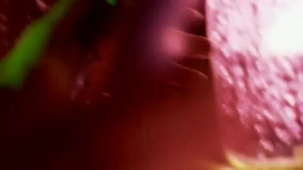 The Crystal Method - Come Back Clean