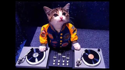 Best Electro house Portugal Music february 2011