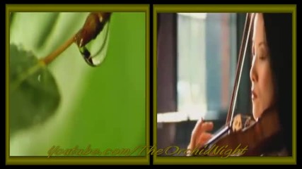Persian Violin - Instrumental (hd)