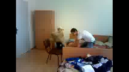 Видео0022