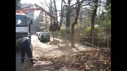 Почистване на падналите листа в Лозенец София 