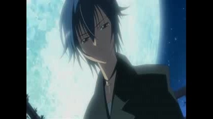 Shugo Chara - Amv