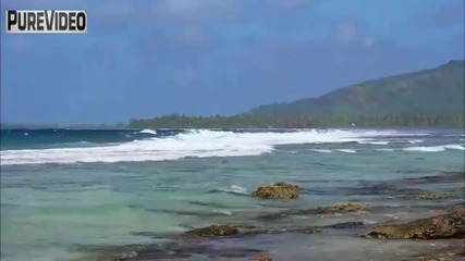 Axel Rudi Pell - Come Back To Me Hd