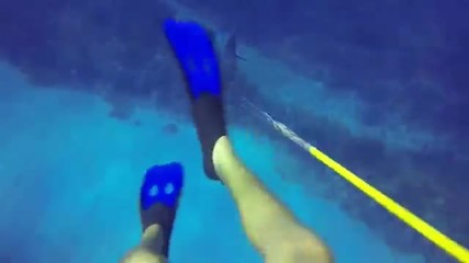 Акула Атакува Човек