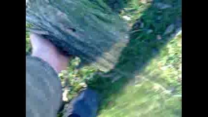 Kral Vurusu Waw 2014 Hd