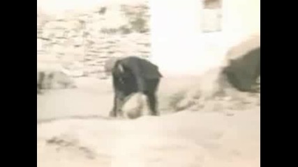 Keriz - Kemal Sunal Part 4/9