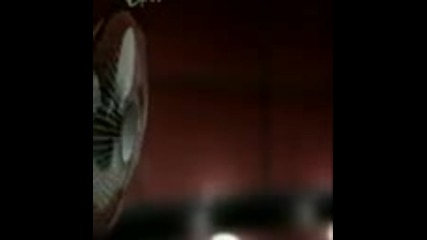 holly dolly - dolly song 2006