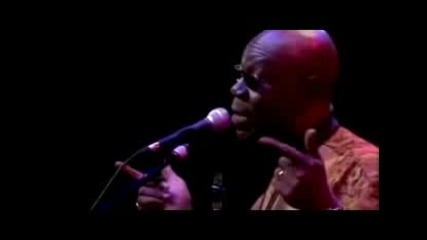 Manu Dibango - Lion of Africa