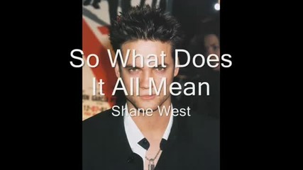 Shane West - So What Does It All Mean ( A Walk To Remember )