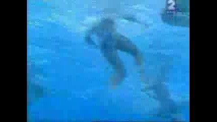 Pro Water Polo Fight