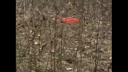 Лудия Big Foot is here part 4