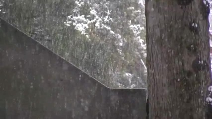 Winter Scenes of Emory 