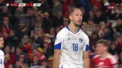 Wales vs. Bosnia-Herzegovina - Game Highlights