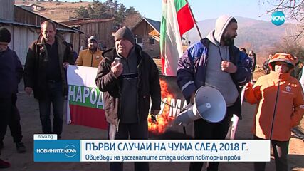 БАБХ: Пробите за наличие на чума по овцете във Велинград са положителни