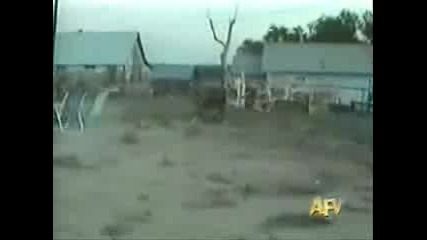 The Funniest Video Ever