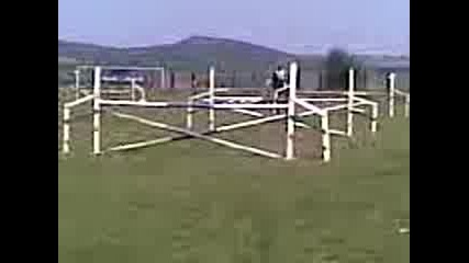 Goznica 6