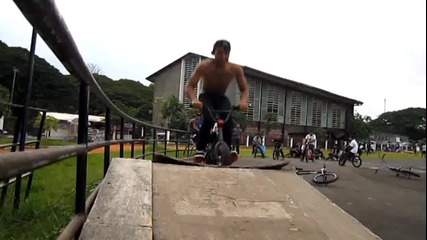 The Mini Bike