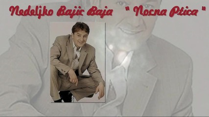 Превод! Nedeljko Bajic Baja - Nocna Ptica