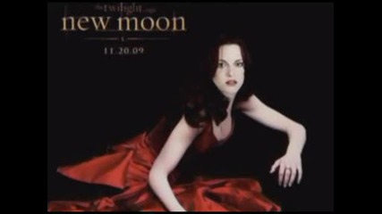 New Moon - No Fear