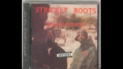 Trickly Roots - Beg No Friends Valley Mob