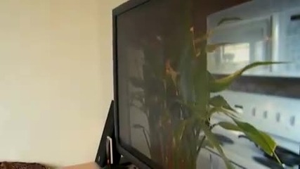 3D Телевизор на които не са нужни очила