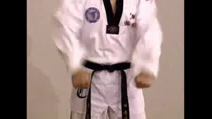 Taekwondo kicks
