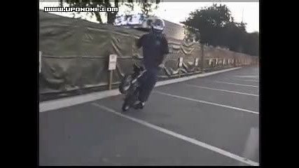 Stunt - Supermotard 
