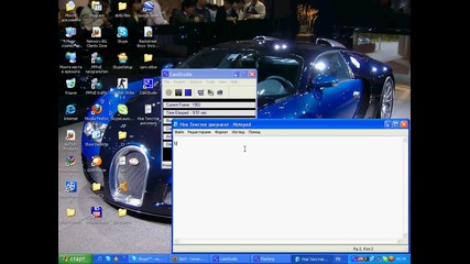 bug 