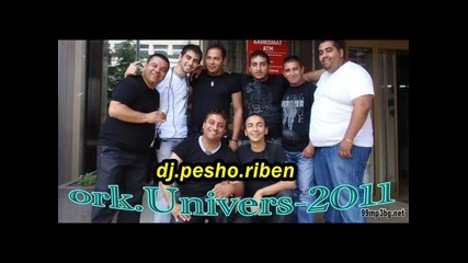 ork.univers--krasi-dj.pesho.ribe