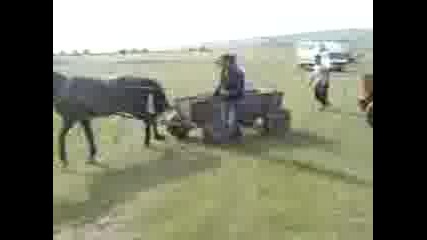 Mov03989