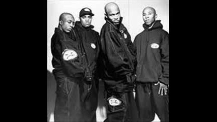 Onyx- Wild N Here