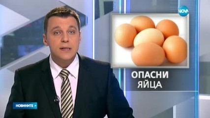 Изтеглят от пазара яйца от Полша, заразени със салмонела